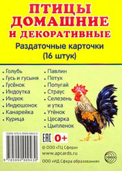 Раздаточные карточки "Птицы домашние и декоративные" (16 штук)