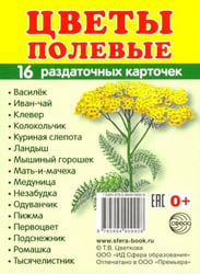 Раздаточные карточки "Цветы полевые" (16 карточек)