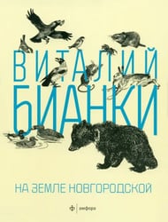 На земле Новгородской