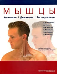 Мышцы. Анатомия. Движения. Тестирование