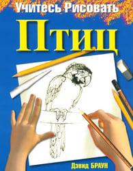Учитесь рисовать птиц