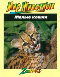 Малые кошки