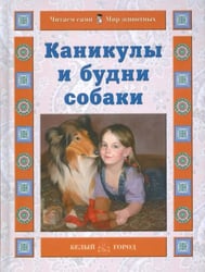 Каникулы и будни собаки