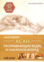 Анатомия асан, раскрывающих бедра, и наклонов вперед