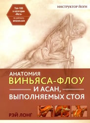Анатомия виньяса-флоу и асан, выполняемых стоя
