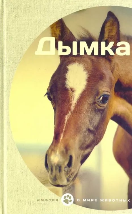 Обложка книги «Дымка» — Сьюэлл Анна, Виль Джемс, ISBN 9785367037777