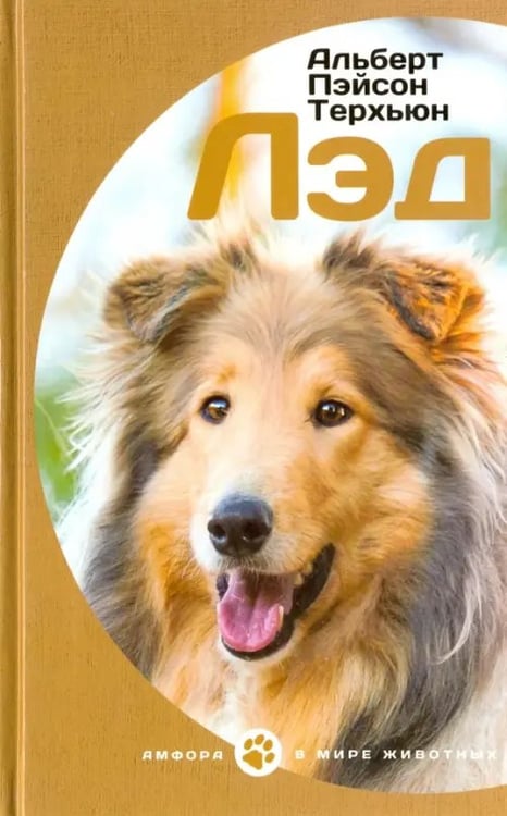 Обложка книги «Лэд» — Терхэн Альберт Пэйсон, ISBN 9785367037838
