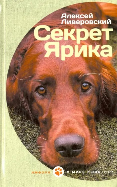 Обложка книги «Секрет Ярика. Рассказы» — Ливеровский Алексей Алексеевич, ISBN 9785367037869