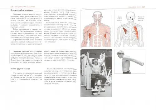 Дополнительное изображение книги «Спортивная анатомия»