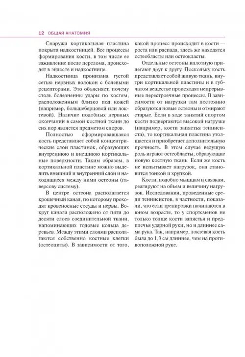 Дополнительное изображение книги «Спортивная анатомия»