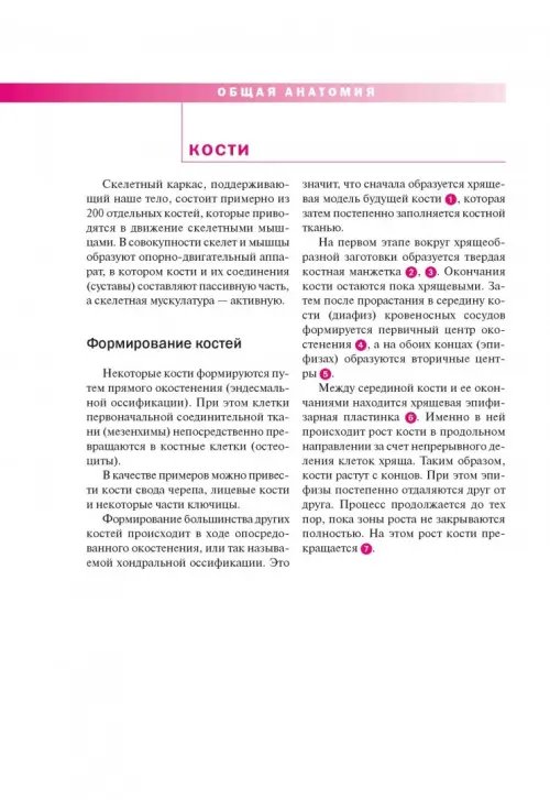 Дополнительное изображение книги «Спортивная анатомия»