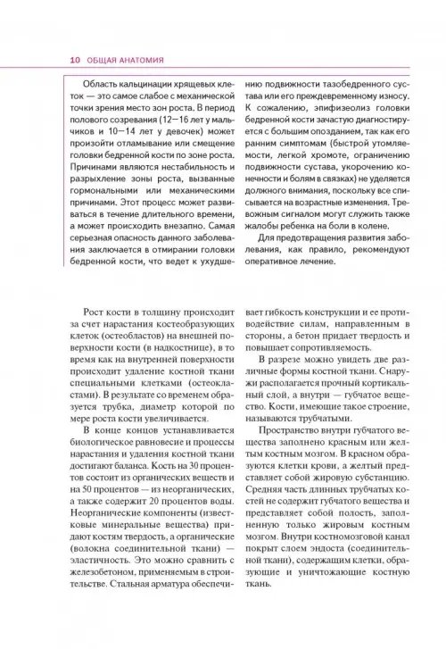 Дополнительное изображение книги «Спортивная анатомия»