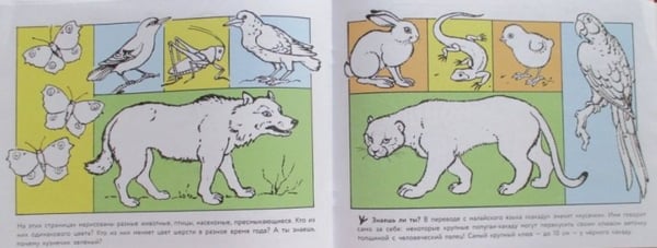Дополнительное изображение книги «Кошка мяукает,поросенок хрюкает»