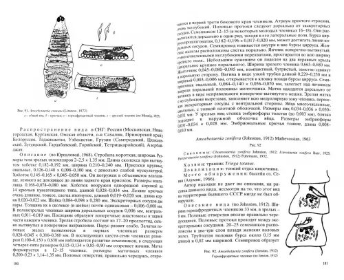 Дополнительное изображение книги «Цестоды фауны юга Малого Кавказа»