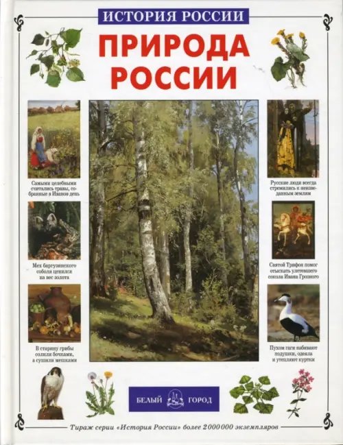 Обложка книги «Природа России» — Колпакова Ольга Валерьевна, ISBN 9785779309035