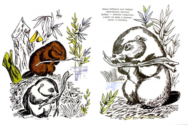 Дополнительное изображение книги «На реке»