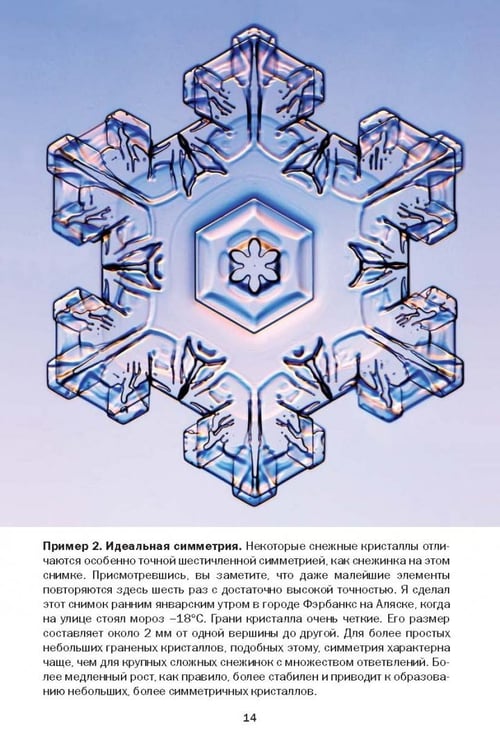 Дополнительное изображение книги «Снежинки. Тайная красота зимней природы. Занимательное снежинковедение»