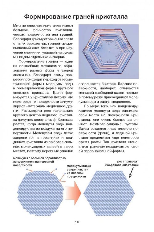 Дополнительное изображение книги «Снежинки. Тайная красота зимней природы. Занимательное снежинковедение»