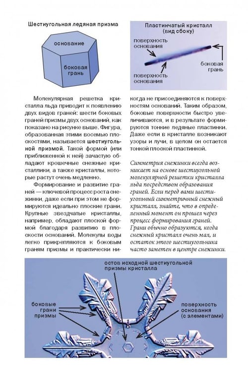 Дополнительное изображение книги «Снежинки. Тайная красота зимней природы. Занимательное снежинковедение»