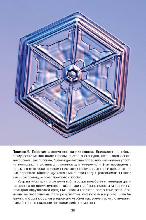 Дополнительное изображение книги «Снежинки. Тайная красота зимней природы. Занимательное снежинковедение»
