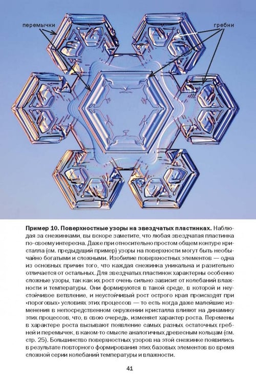 Дополнительное изображение книги «Снежинки. Тайная красота зимней природы. Занимательное снежинковедение»