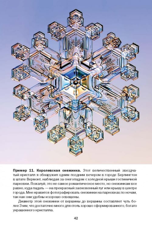 Дополнительное изображение книги «Снежинки. Тайная красота зимней природы. Занимательное снежинковедение»