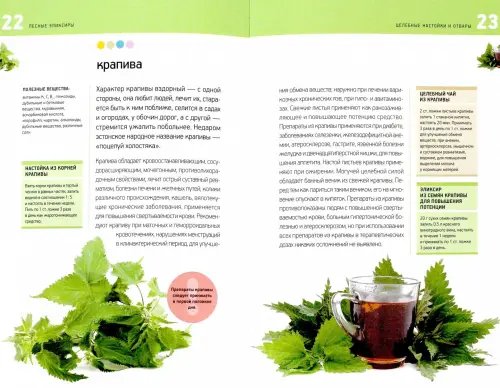 Дополнительное изображение книги «Лесные эликсиры. Целебные настойки и отвары»