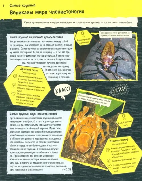 Дополнительное изображение книги «Прекрасные и опасные. Насекомые, пауки, скорпионы»