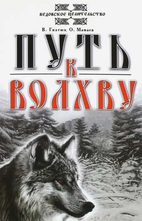 Обложка книги «Путь к волхву» — Гнатюк Валентин Сергеевич, Мамаев Олег Иванович, ISBN 9785000535745