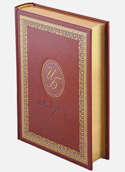 Дополнительное изображение книги «Окаянные дни»
