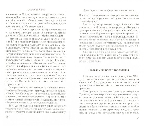 Дополнительное изображение книги «Духи. Друзья и враги. Сущности в нашей жизни»
