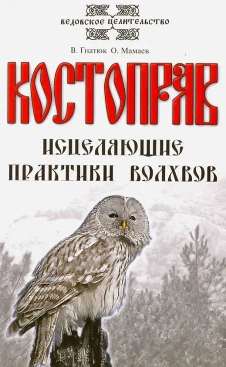 Обложка книги «Костоправ. Исцеляющие практики волхвов» — Гнатюк Валентин Сергеевич, Мамаев Олег Иванович, ISBN 9785000533772