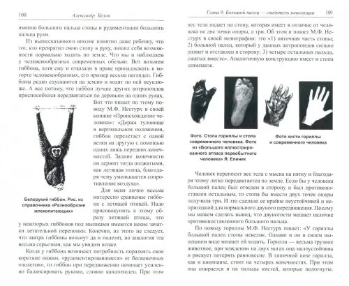 Дополнительное изображение книги «Тайна происхождения человека раскрыта! Теория эволюции и инволюции»