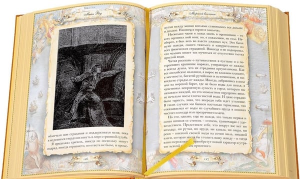 Дополнительное изображение книги «Морской волчонок»