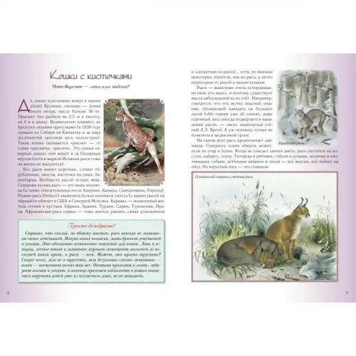 Дополнительное изображение книги «Кошки и собаки. Знакомые и неизвестные»