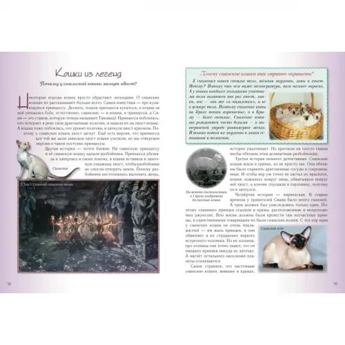 Дополнительное изображение книги «Кошки и собаки. Знакомые и неизвестные»