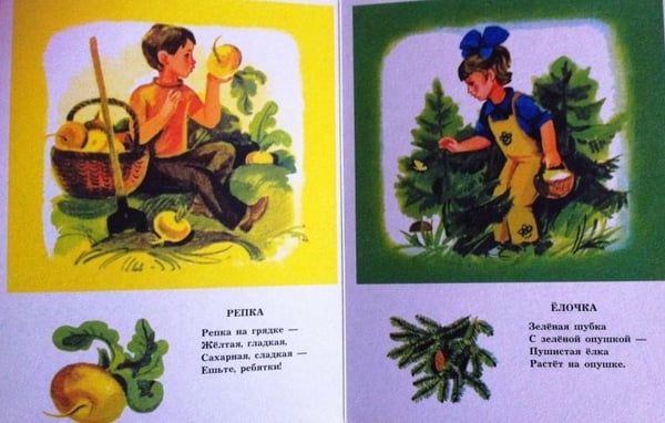 Дополнительное изображение книги «Краски радуги»