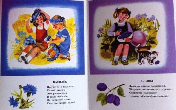 Дополнительное изображение книги «Краски радуги»