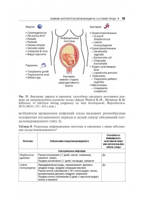 Дополнительное изображение книги «Влияние различных факторов на плод»