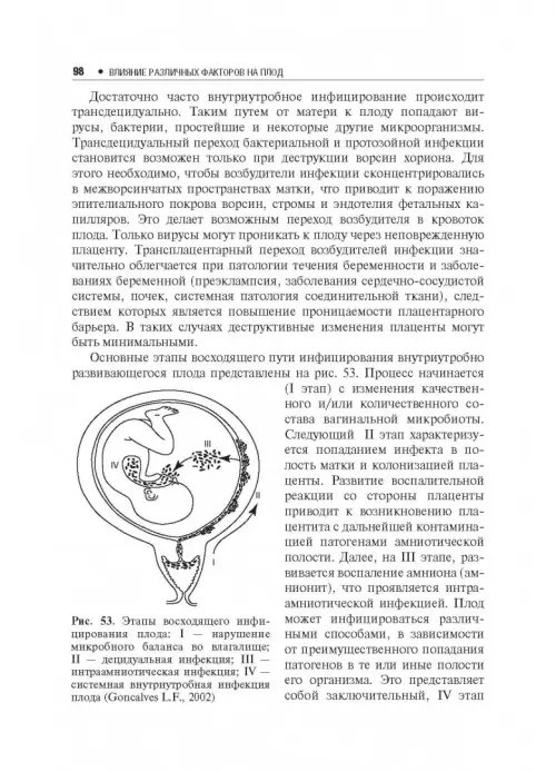 Дополнительное изображение книги «Влияние различных факторов на плод»