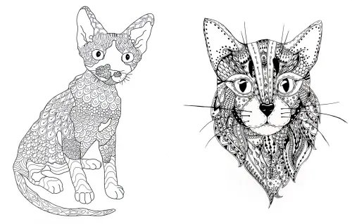 Дополнительное изображение книги «Cats. Творческая раскраска замурчательных котиков»