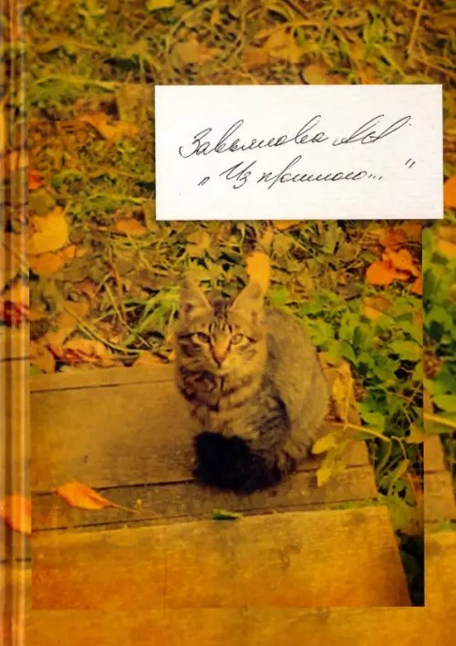 Обложка книги «Из прошлого…» — Завьялова Анна Алексеевна, ISBN 9785880104284