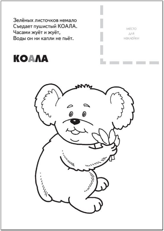 Дополнительное изображение книги «Животные жарких стран»