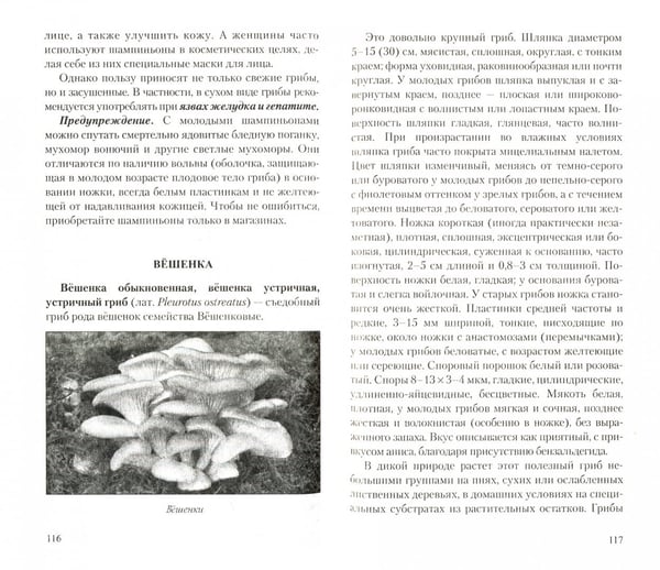 Дополнительное изображение книги «Грибы-природное лекарство.Мифы и реальность»