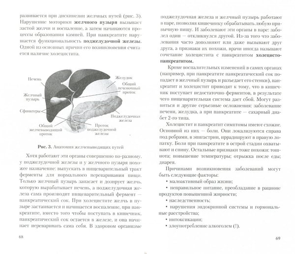 Дополнительное изображение книги «Поджелудочная железа.Профилактика и лечение заболеваний»