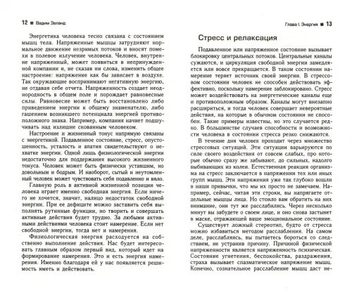 Дополнительное изображение книги «Трансерфинг реальности. Ступень III. Вперед в прошлое!»