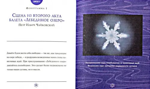 Дополнительное изображение книги «Исцеление кристаллами воды (2 СD) (+ CD-ROM)»