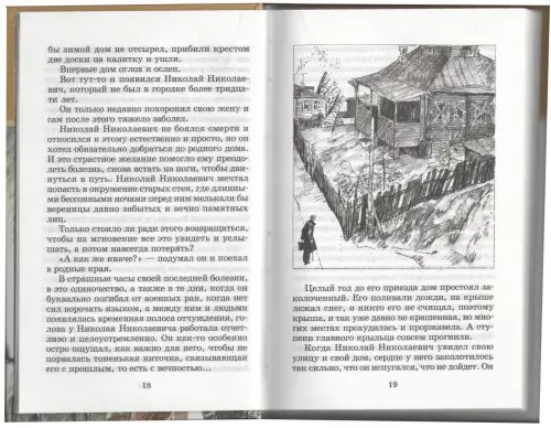 Дополнительное изображение книги «Чучело»