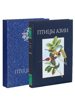 Дополнительное изображение книги «Птицы Азии (кожаный + футляр)»