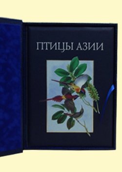 Дополнительное изображение книги «Птицы Азии (кожаный + футляр)»